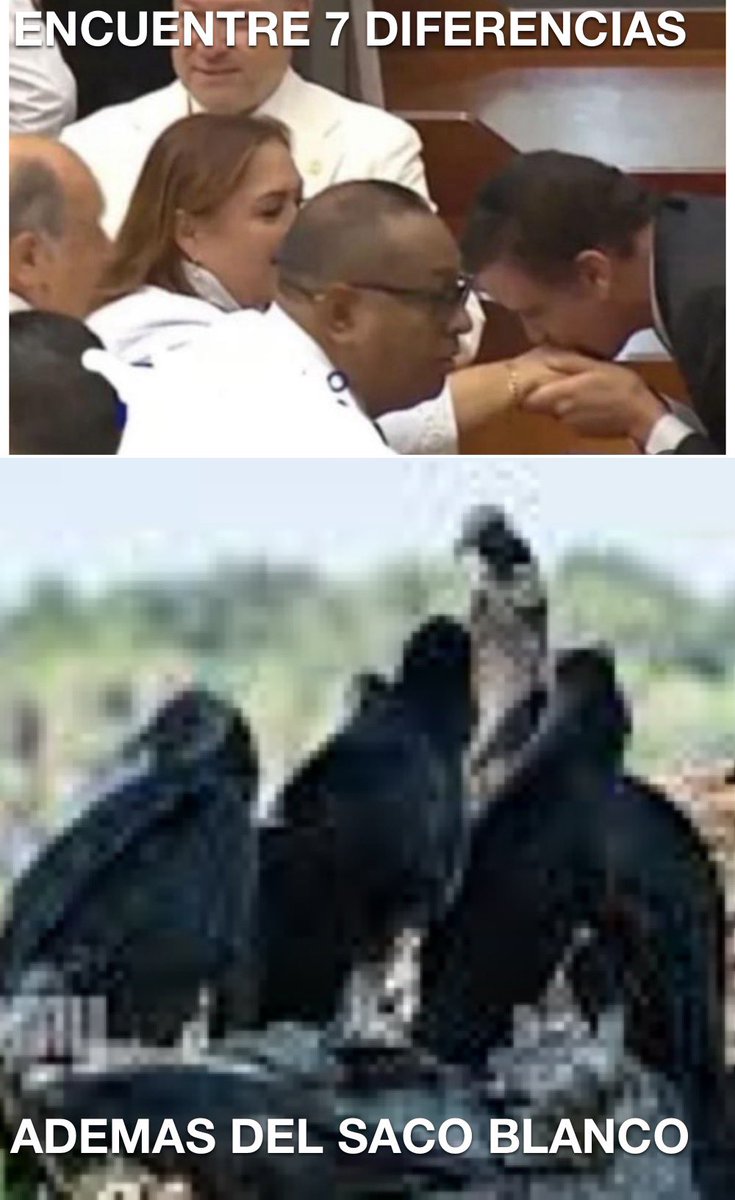 Encuentre siete diferencias