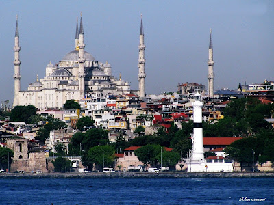 BursaUkrayna's tweet photo. Bir akşamüstü, günün şavkı, martılarla birlikte dans ederken denizde https://t.co/DgUsyu4Cnm. https://t.co/A7WgkHtCBB