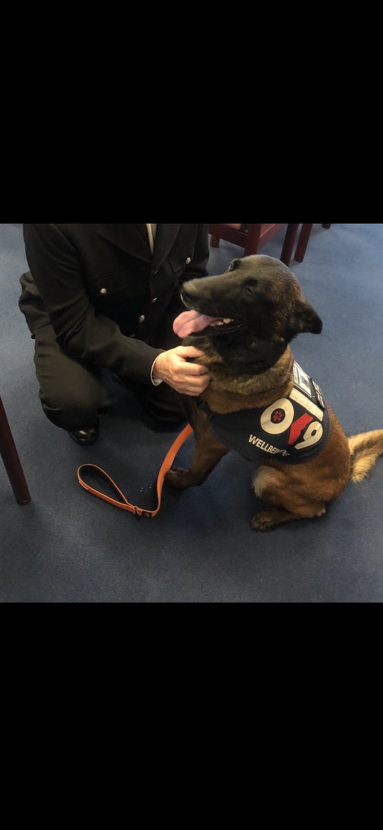 Fantastic day! 
1-<a href="/PBaloo/">PDBaloo</a> had cuddles at a pre-school this morning 🥰
2-visit to <a href="/EssexPoliceUK/">Essex Police</a> HQ this afternoon ☺️
3-back to HQ this evening to congratulate the five newly attested @EPSpecials and others receiving their awards 🤩

We’ve had a wonderful day 💙