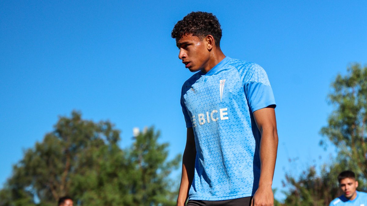 Universidad Católica tweet media