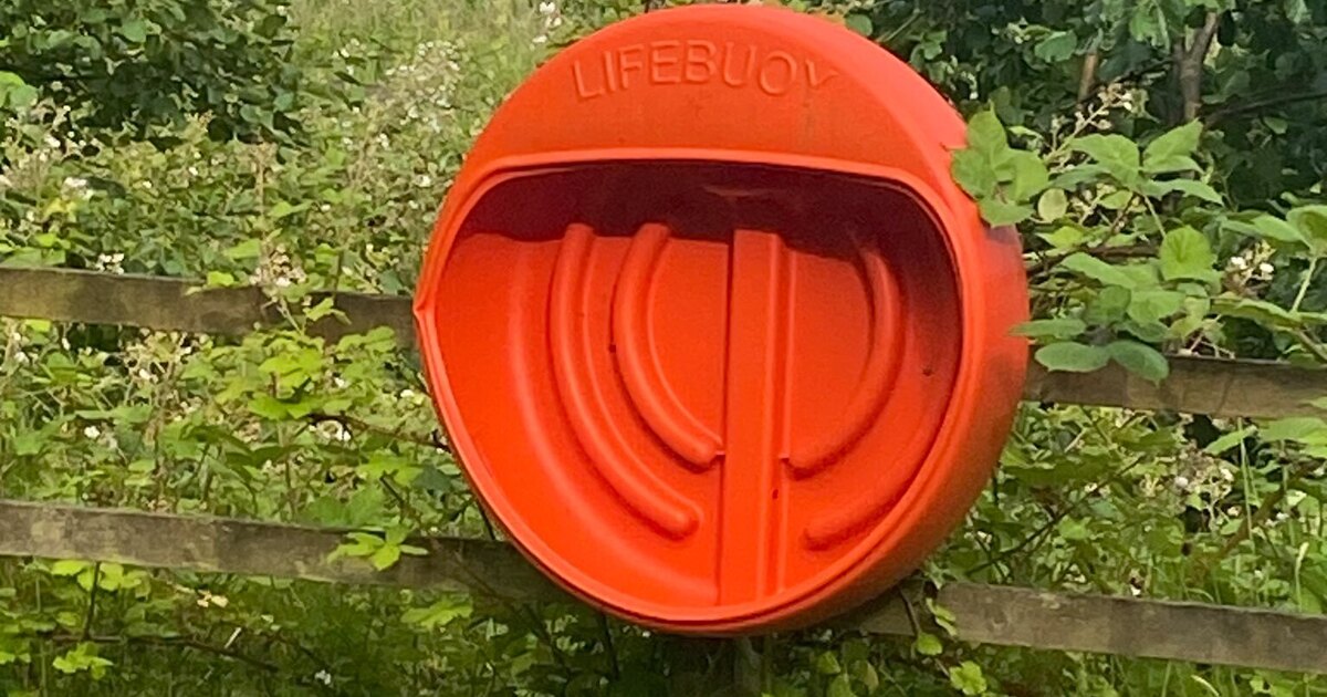 Prestwich Sloopy tweet media