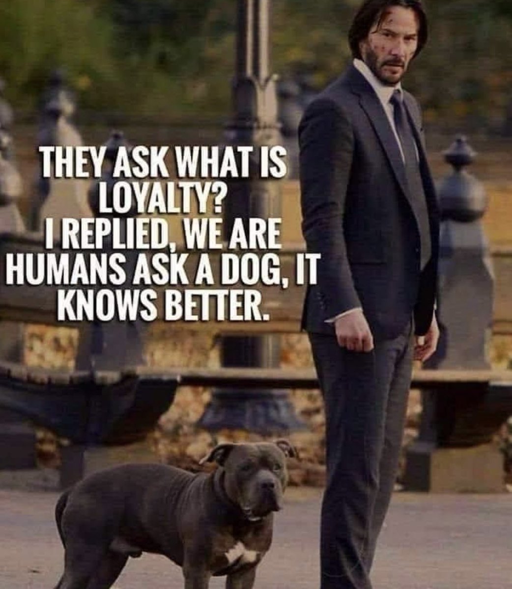 Breathe Centric Ltd (@ltdbreathe) on Twitter photo 