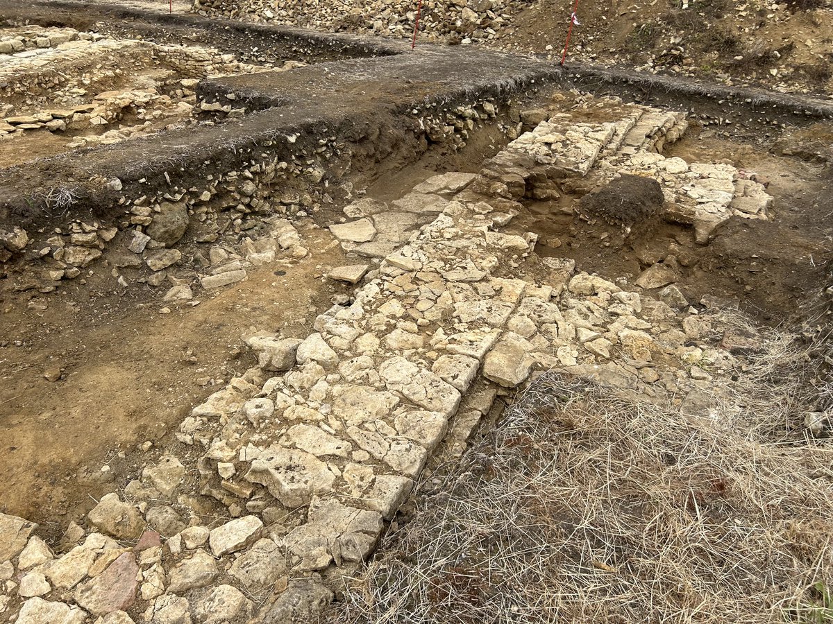 Archeoscan tweet media