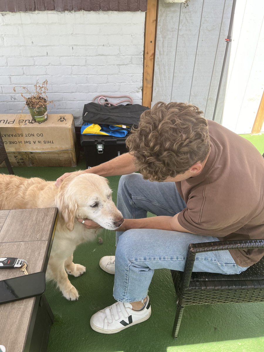 _agarner's tweet photo. Brought the new boy home today. 

Raised on the streets of South Korea, made his way to sunny San Diego. What a stud. https://t.co/Q9c8hQC7UJ