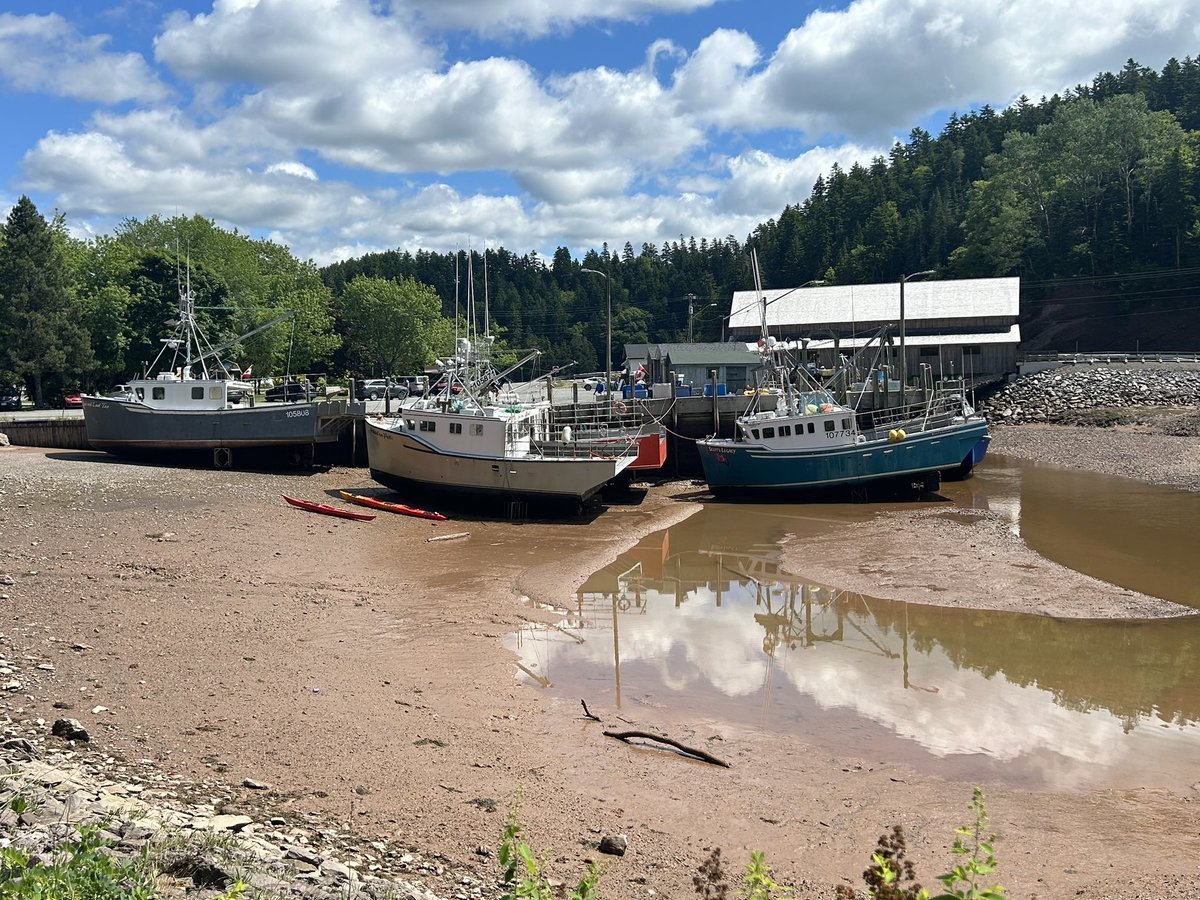 Happy Canada Day! 🇨🇦
My Canada ❤️