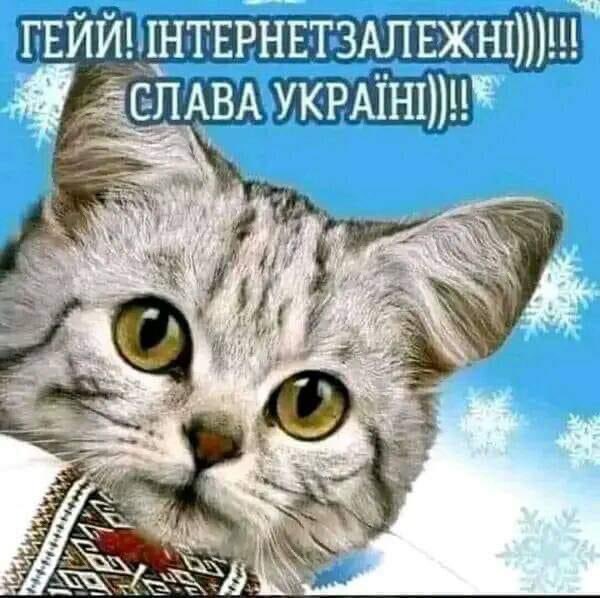_shoonia's tweet photo. @AndriiSkorokhod @YASN0_ua Такс... поняв https://t.co/OcQtceoVgd