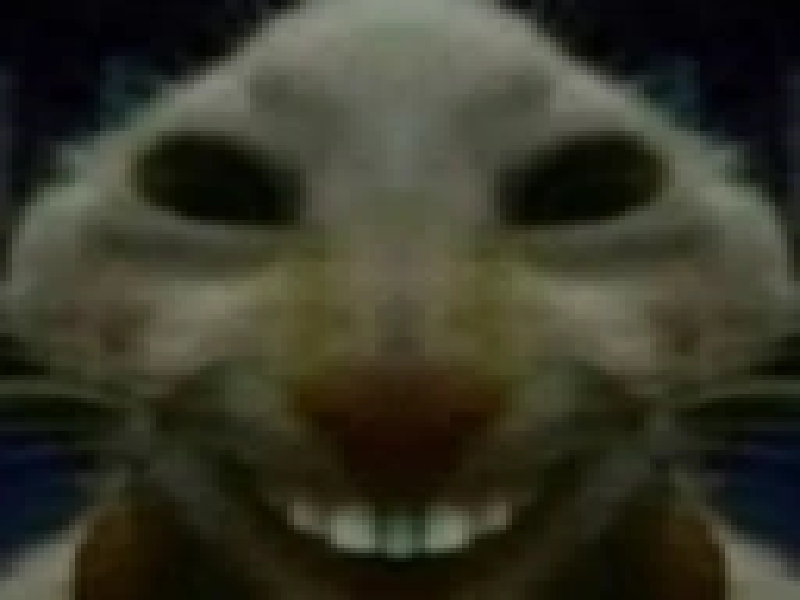 GamingG0d007's tweet photo. @melrose_vt https://t.co/CodOriCbCv
