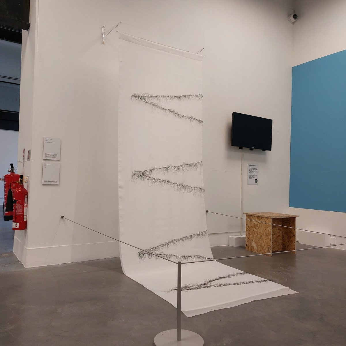 The 62 Group tweet media