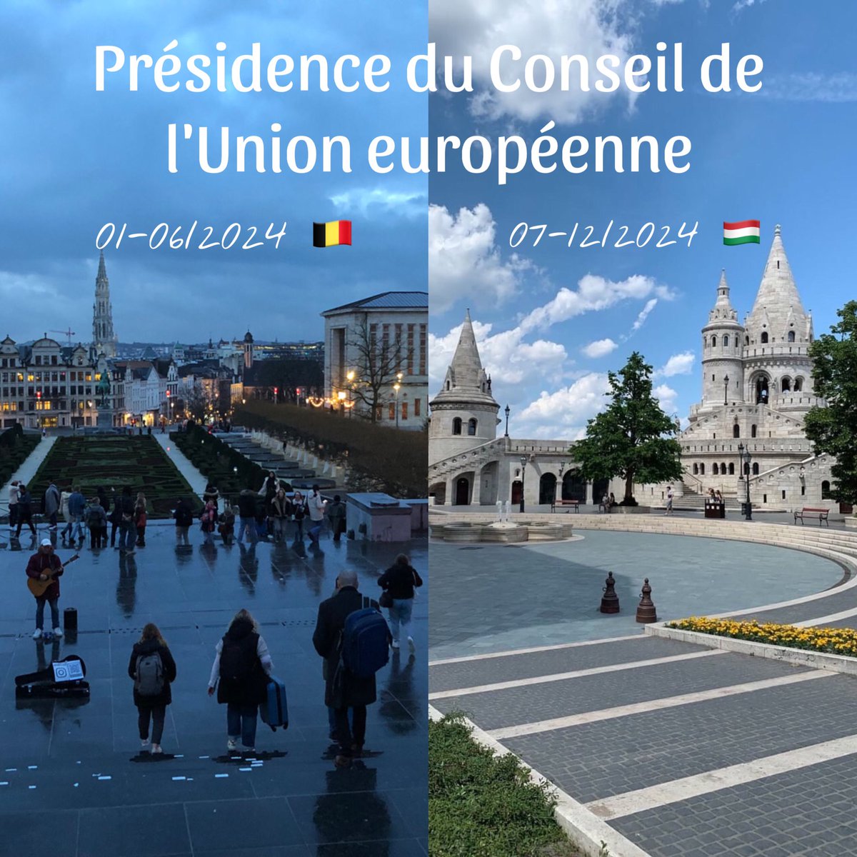 CREAN Europe Direct 🇪🇺 tweet media