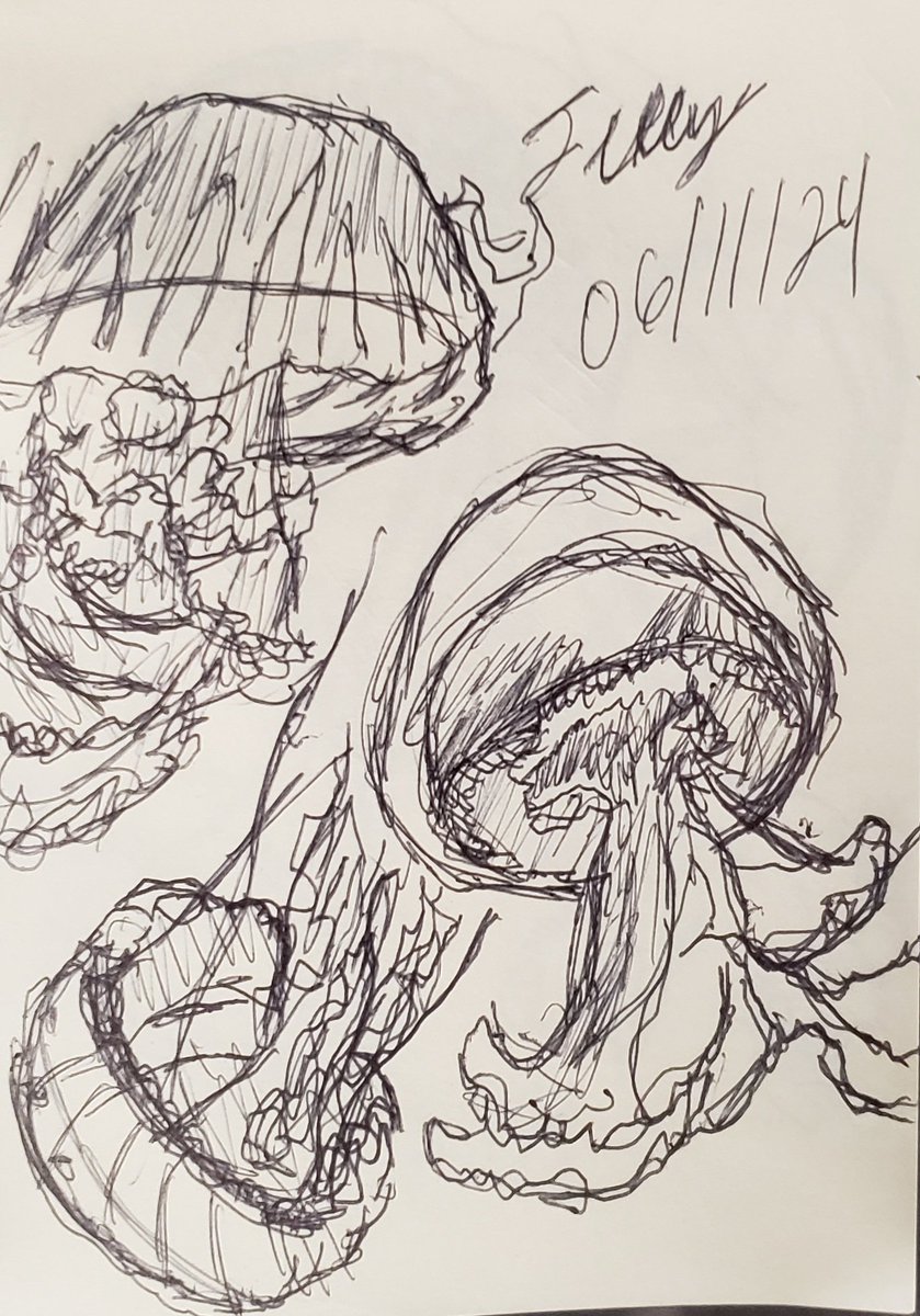 BOINBOISBOS's tweet image. started drawing