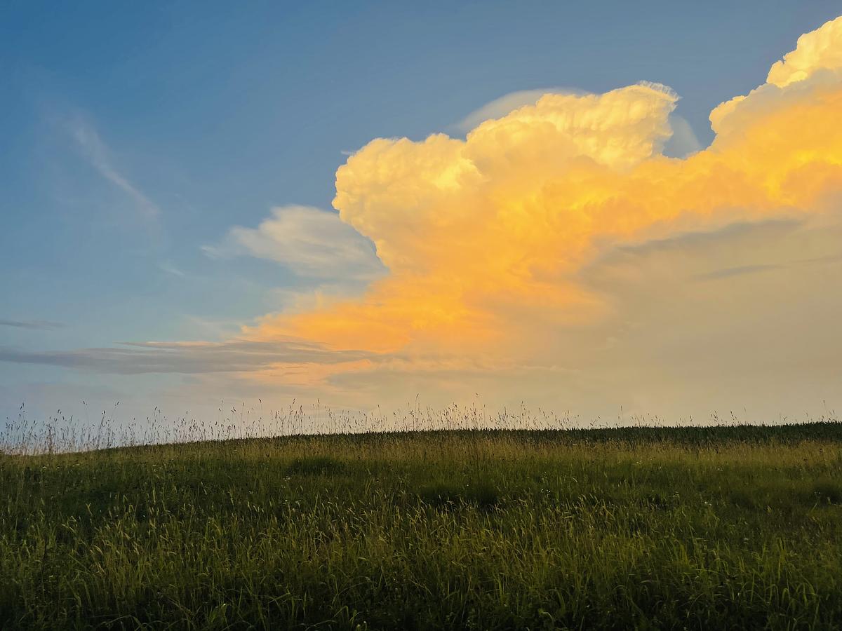 Natural Lands tweet media