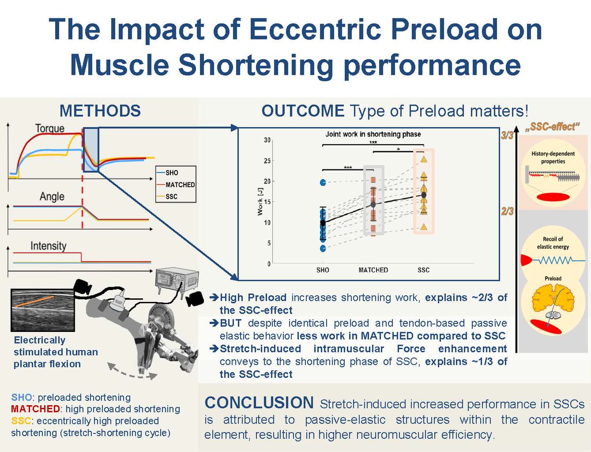 Journal of Applied Physiology (@japplphysiol) on Twitter photo #ArticlesInPresS Unlocking the benefit of active stretch: The Eccentric muscle action not the preload maximizes muscle-tendon unit stretch-shortening cycle performance
Tobias Goecking, et al.
ow.ly/VGO550Stcwz #JAPPL <a href="/neuromecHAHNics/">Daniel Hahn</a> #ForceDepression #ArticlesInPresS Unlocking the benefit of active stretch: The Eccentric muscle action not the preload maximizes muscle-tendon unit stretch-shortening cycle performance
Tobias Goecking, et al.
ow.ly/VGO550Stcwz #JAPPL <a href="/neuromecHAHNics/">Daniel Hahn</a> #ForceDepression