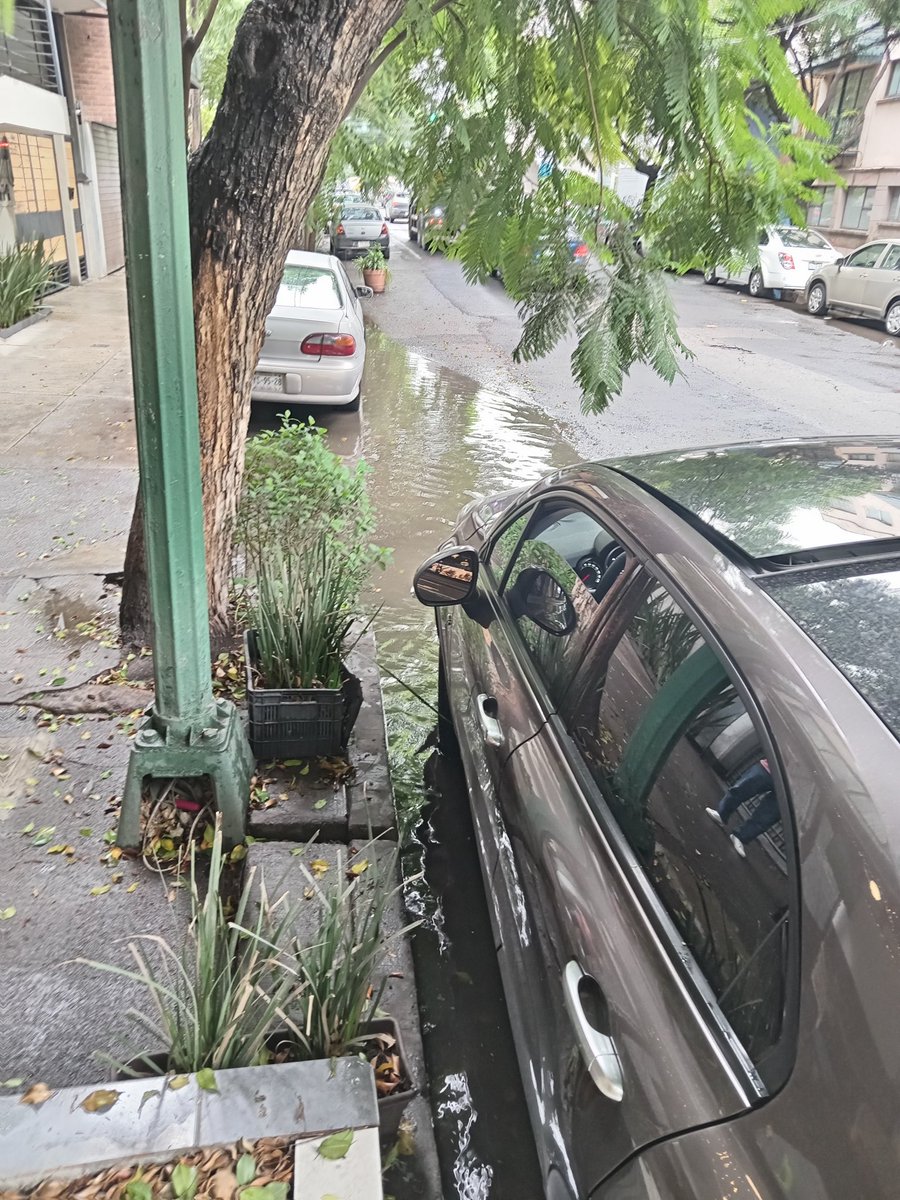 GusCast1's tweet photo. Buenas tardes, @Alcandia  #BenitoJuarez pidiendo su Apoyo para desazolvar coladera en colonia #Narvarte Poniente calle Concepción Beistegui entre Pitágoras y Anaxagoras. Para evitar fauna nociva y malos olores Gracias de antemano @BJAlcaldia @AccionesBJ https://t.co/Dlg7V1bKj6