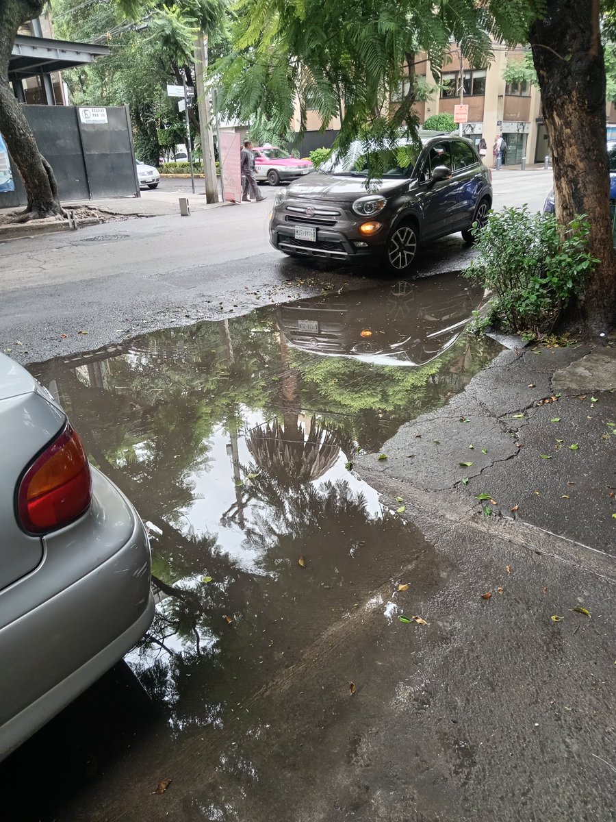 GusCast1's tweet photo. Buenas tardes, @Alcandia  #BenitoJuarez pidiendo su Apoyo para desazolvar coladera en colonia #Narvarte Poniente calle Concepción Beistegui entre Pitágoras y Anaxagoras. Para evitar fauna nociva y malos olores Gracias de antemano @BJAlcaldia @AccionesBJ https://t.co/Dlg7V1bKj6
