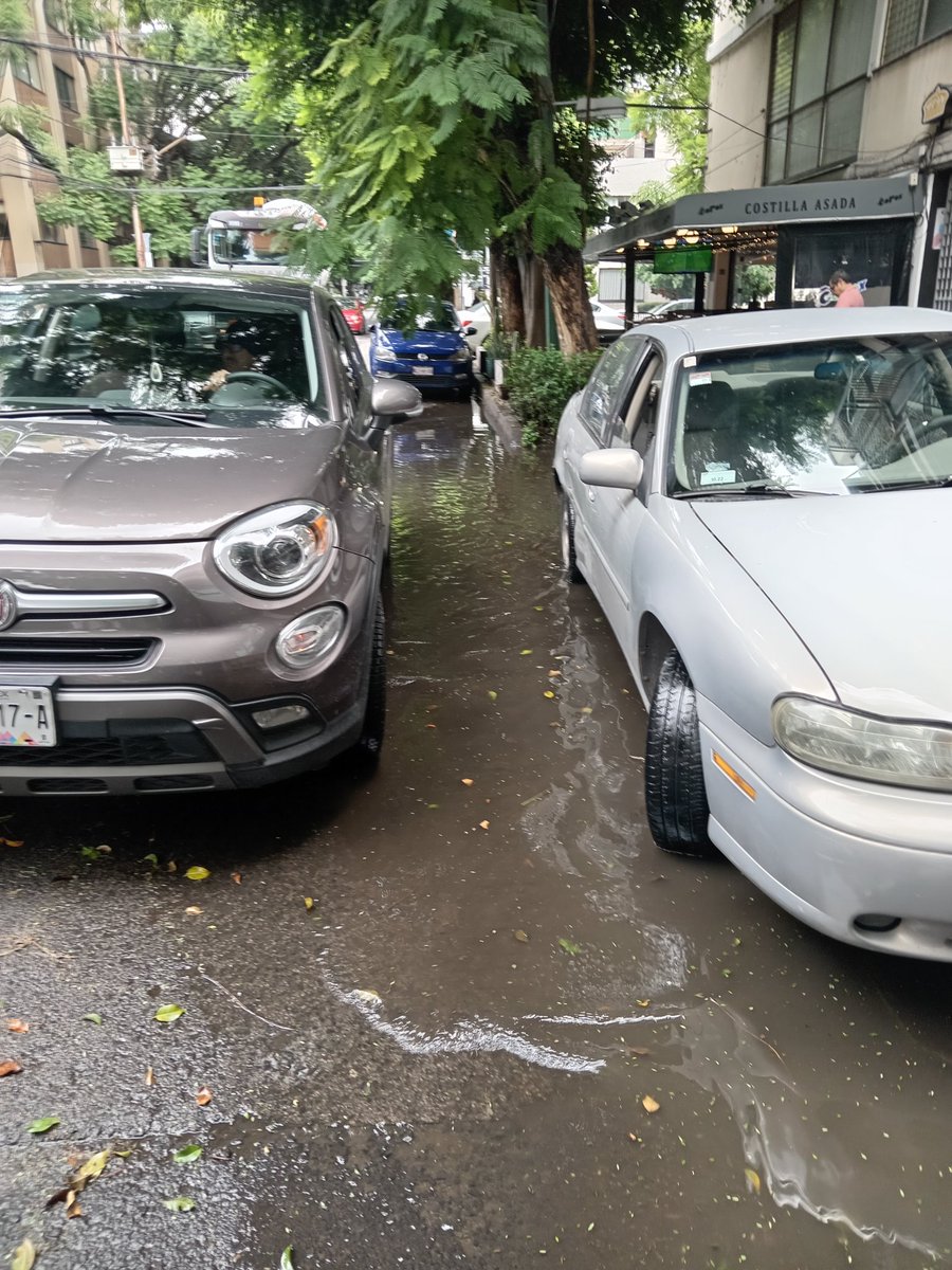 GusCast1's tweet photo. Buenas tardes, @Alcandia  #BenitoJuarez pidiendo su Apoyo para desazolvar coladera en colonia #Narvarte Poniente calle Concepción Beistegui entre Pitágoras y Anaxagoras. Para evitar fauna nociva y malos olores Gracias de antemano @BJAlcaldia @AccionesBJ https://t.co/Dlg7V1bKj6
