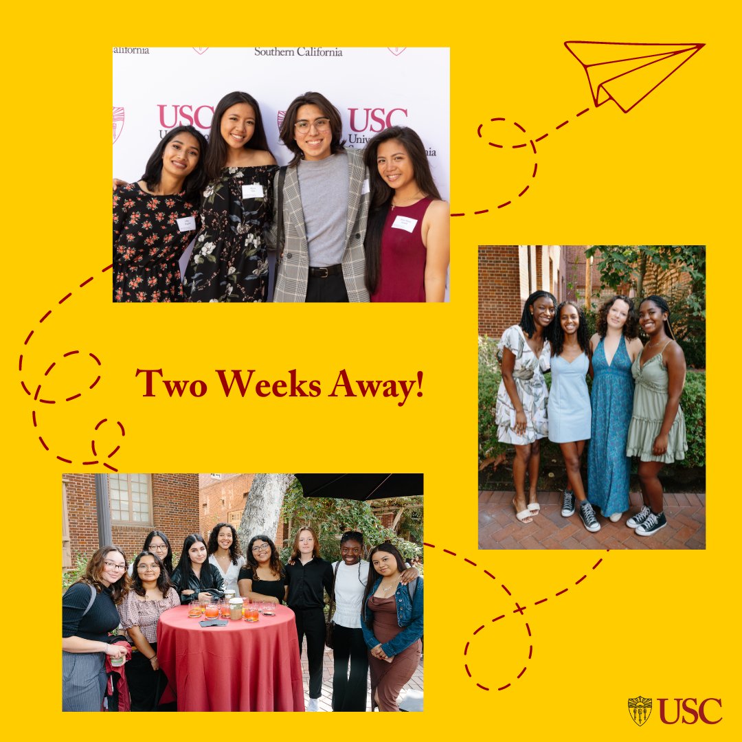 bovardscholars's tweet photo. Just 15 days left until the start of the USC Bovard Scholars Program – let the excitement build! #USCBovardScholars #Cohort8 https://t.co/R69XmQyYi4