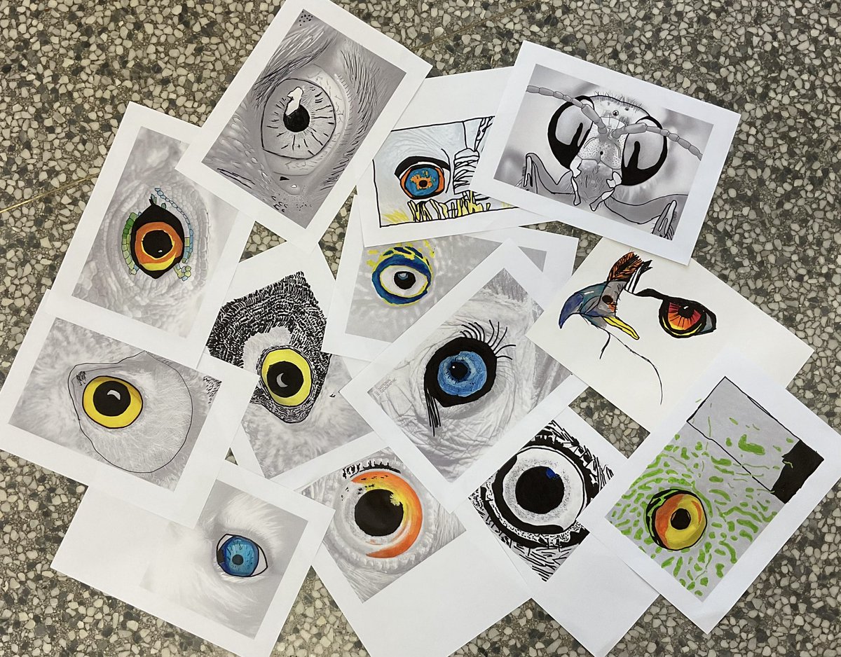 Art at Bolton School Boys' Division tweet media