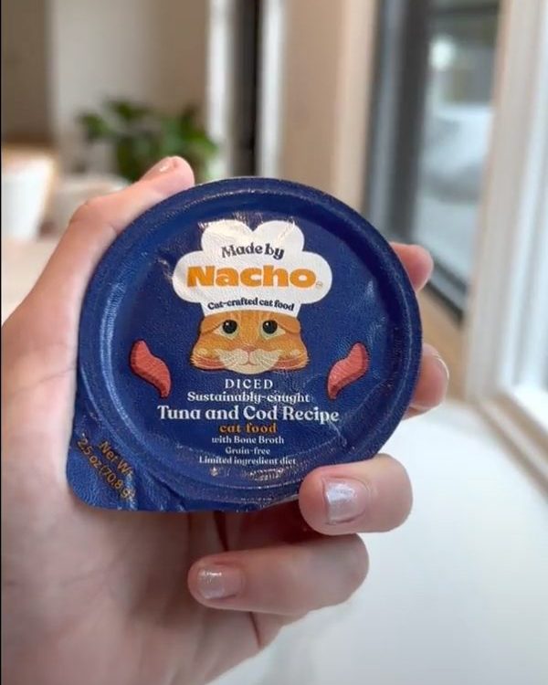 madebynachoflay's tweet photo. Hydration Tip #1: All cat parents know you can lead a cat to water, but you can't make them drink. 🫠 Luckily all of our recipes are made with bone broth to help cats stay healthy and hydrated.

#MadeByNacho #NationalPetHydrationAwarenessMonth https://t.co/gxoIKztU04