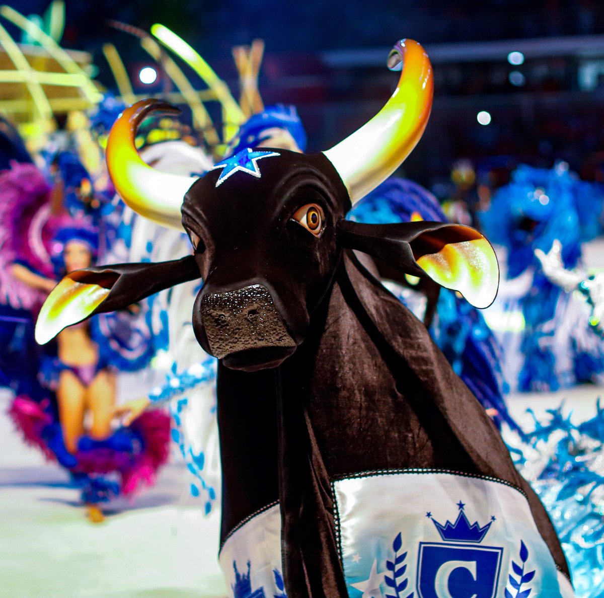 rocunhaes's tweet image. O maior de todos 💙