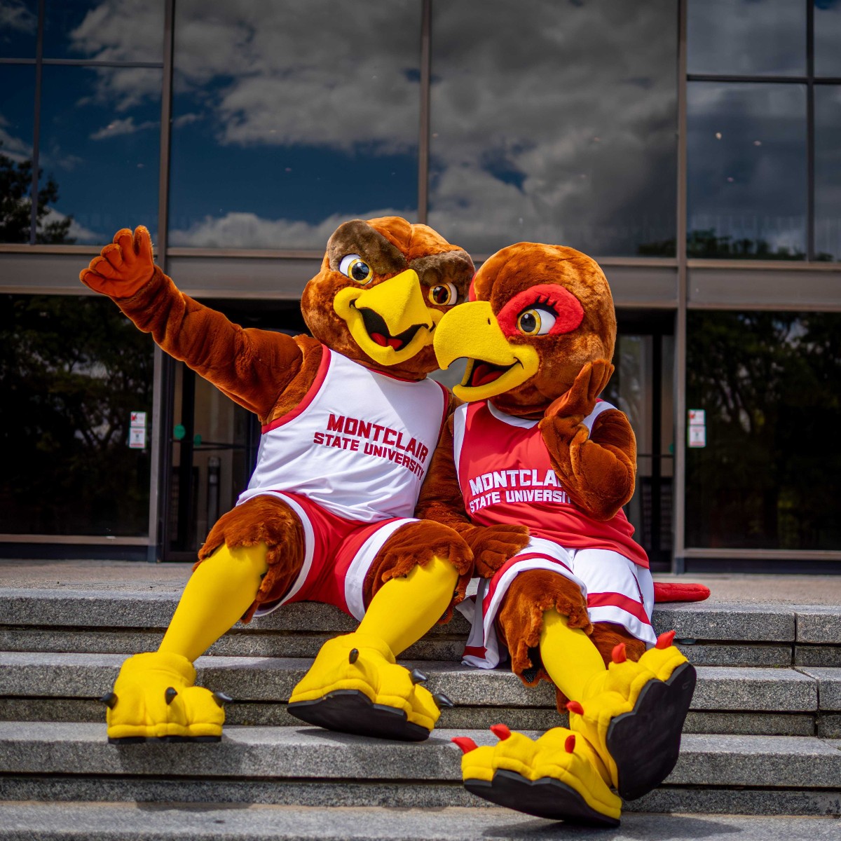 RockyRedHawk's tweet photo. YOU AWAKE YET ⁉️⏰

We're back and better than ever! My sister Roxy and I got our beauty sleep and are ready to spread some serious Red Hawk Pride. Catch us around campus to check out our new looks! 😎🔥✨💪 https://t.co/Dp3C1JEdfT
