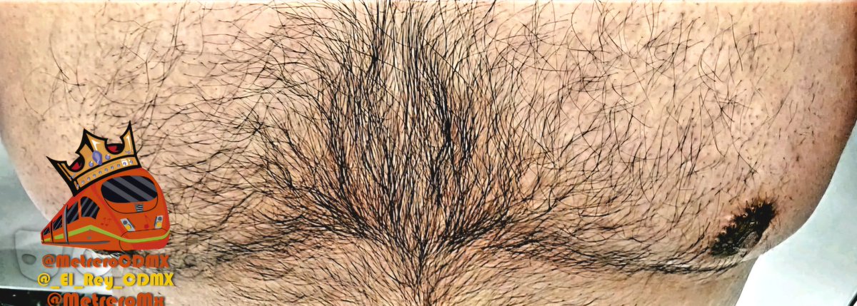 Hay muchos videos, miles de fotos.
Pronto estarán en la página.