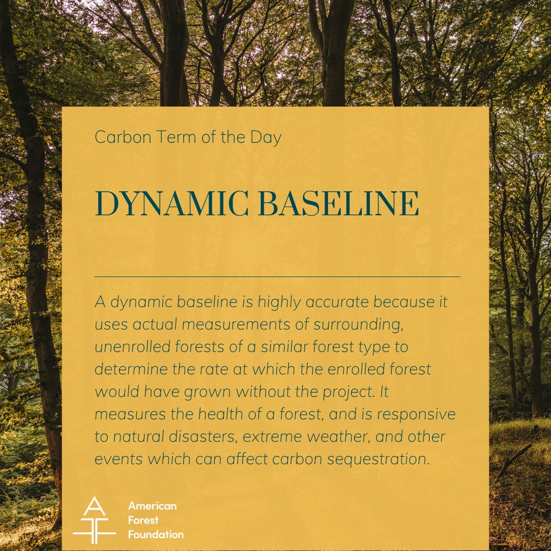 Today’s #CarbonTermoftheDay is “Dynamic Baseline.” A dynamic baseline is more accurate than a general baseline because it uses actual measurements of surrounding, unenrolled forests of a similar forest type. Learn more carbon terms today: forestfoundation.org/why-we-do-it/f…