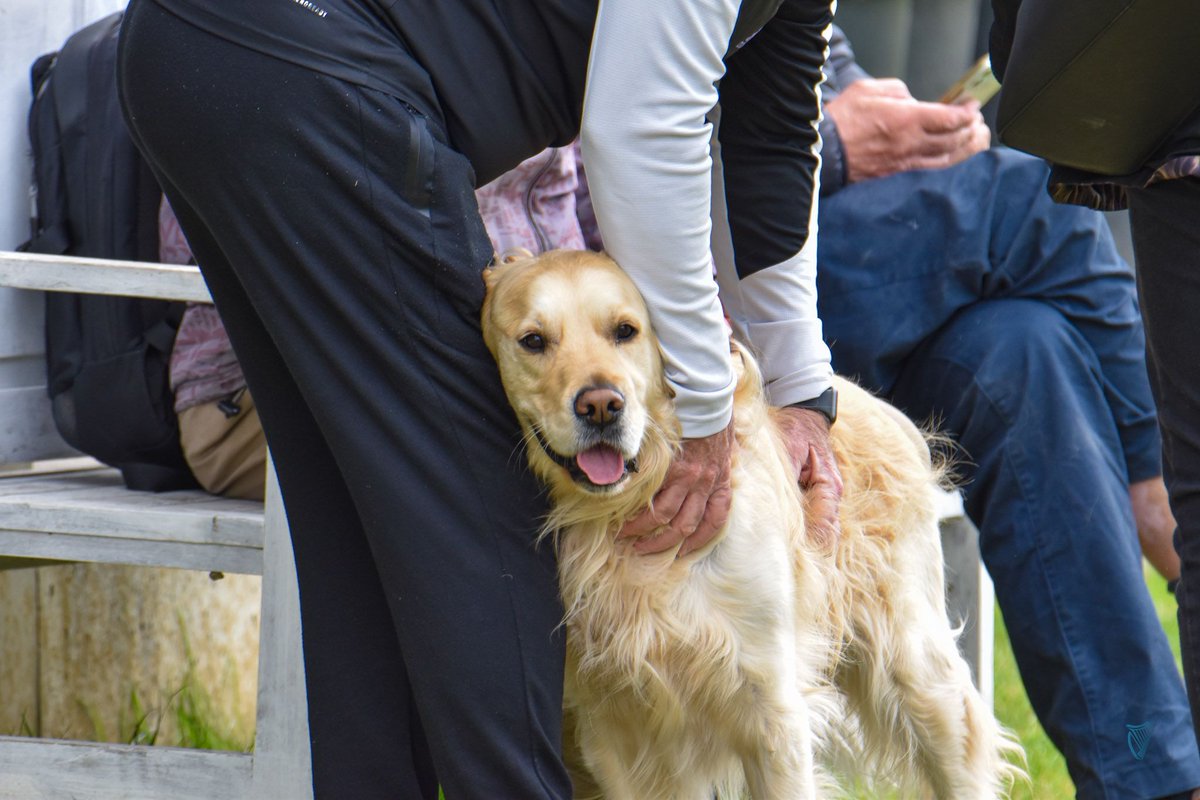 cricketleinster's tweet photo. 💙PLAYER REGISTRATIONS💙

📈 5,000 across 46 clubs
📊 1,910 youths at 35 clubs
🏏 900+ female players 
🐶 Countless dogs! 

https://t.co/q3jLGq5dTf https://t.co/9wtx8n3TjJ