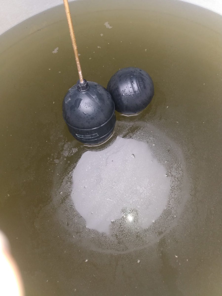 lorenagggil's tweet photo. Día 13 sin agua. ¡Vean el agua que nos surtieron!
Regulen el servicio de pipas, dennos una lista de proveedores confiables al menos ya que UDS NO VIENEN a darnos agua. Ahora a vaciar, limpiar y desinfectar tinacos. @JesusNavaNL @samuel_garcias #NuevoLeon #SantaCatarina #AYD https://t.co/UfyrmP8juh