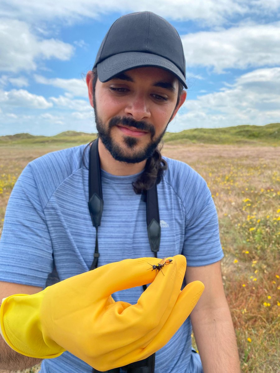 IdrisAdamsBio's tweet photo. Obligatory fieldwork photos... and my first marked #wasp!
Great trip to Norfolk last week with @WaspWoman @TimBlackburn66 https://t.co/qBz2HEjzHr