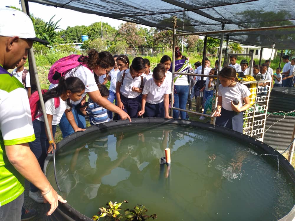 Ministerio del P. P para Ciencia y Tecnología tweet media