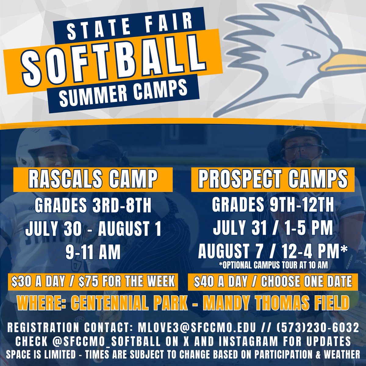 State Fair Softball tweet media