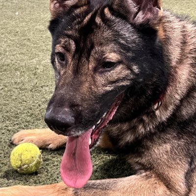 Sdotstiles's tweet image. #NewProfilePic