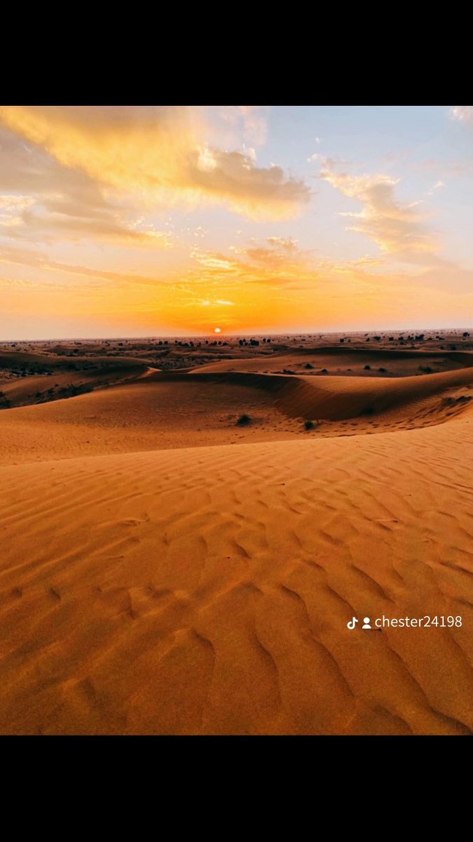 Paul Dowse MCCT tweet media