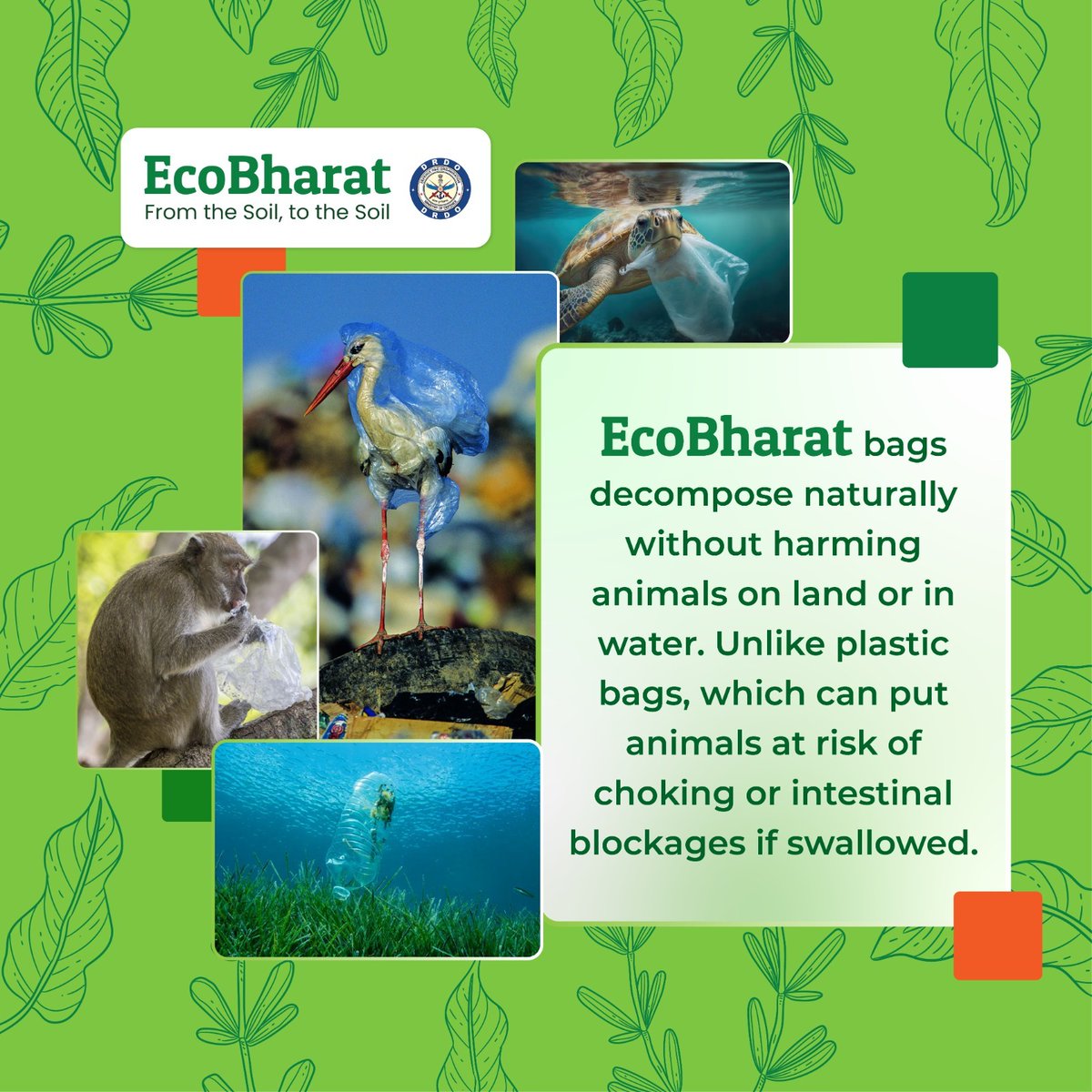 EcoBharat's tweet photo. 🌿 EcoBharat: From the Soil, to the Soil 🌿

Ditch harmful plastics for EcoBharat bags! 🌍✨ They decompose naturally, keeping animals safe on land and in water. Protect our planet, one bag at a time! 

#saynotoplastic #breakfreefromplastic #saveplanet #EcoBharat #ecobharat.life https://t.co/oke9VMnVST