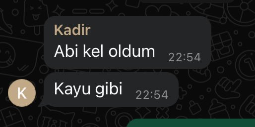 egehaan's tweet photo. kayu gibi https://t.co/xtJzvugXgK
