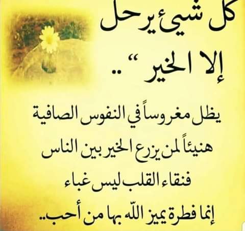 waheebsenter's tweet photo. أنت إنسان ولدت وفيك الخير والشر، وسيكبر معك الجانب الذي تطعمه أكثر https://t.co/MXDbVgvAfS