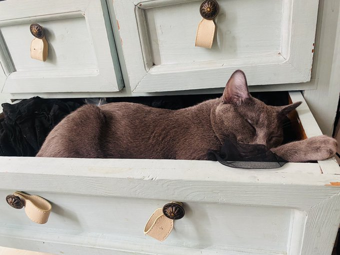 Los vatos no son los &uacute;nicos que aman mi lencer&iacute;a 😅 https://t.co/hpKk2W25dZ<a href="/tag/stripchat"class="tags"><span>#stripchat</span></a><a href="/tag/stripchatlive"class="tags"><span>#stripchatlive</span></a>