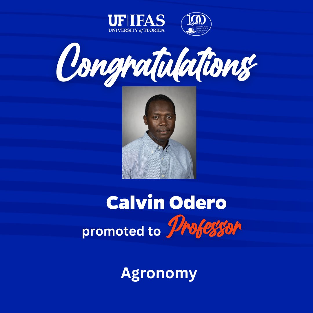 EvergladesREC's tweet photo. Congratulations to our EREC faculty on their milestone achievement. Dr. Sandoya and Dr. Beuzelin  have been granted tenure and promoted to Associate Professors. Dr. Calvin Odero has been promoted to Professor. @EvergladesREC @UF_IFAS https://t.co/4wpvwWrW09