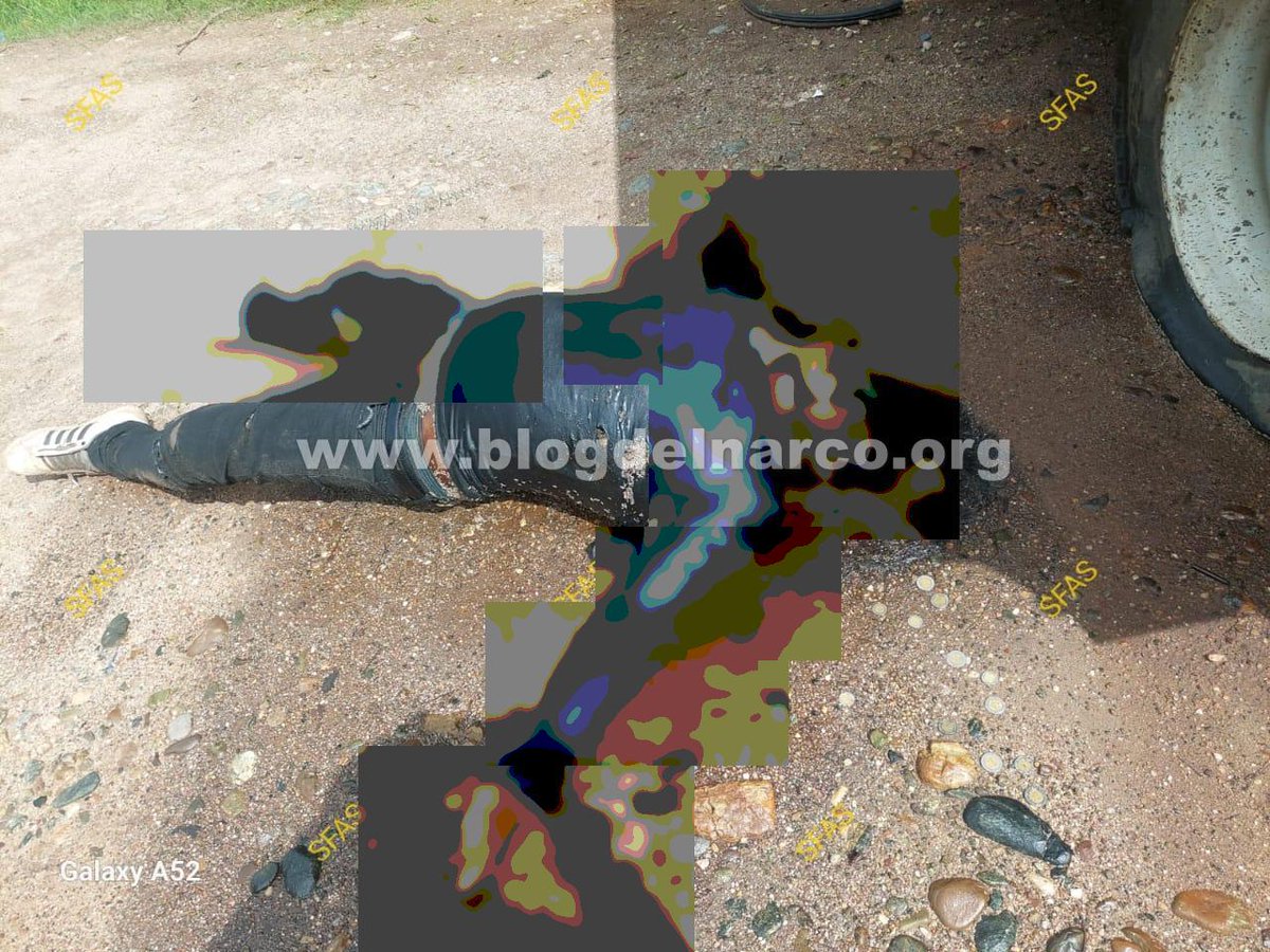 Blog del Narco México tweet media