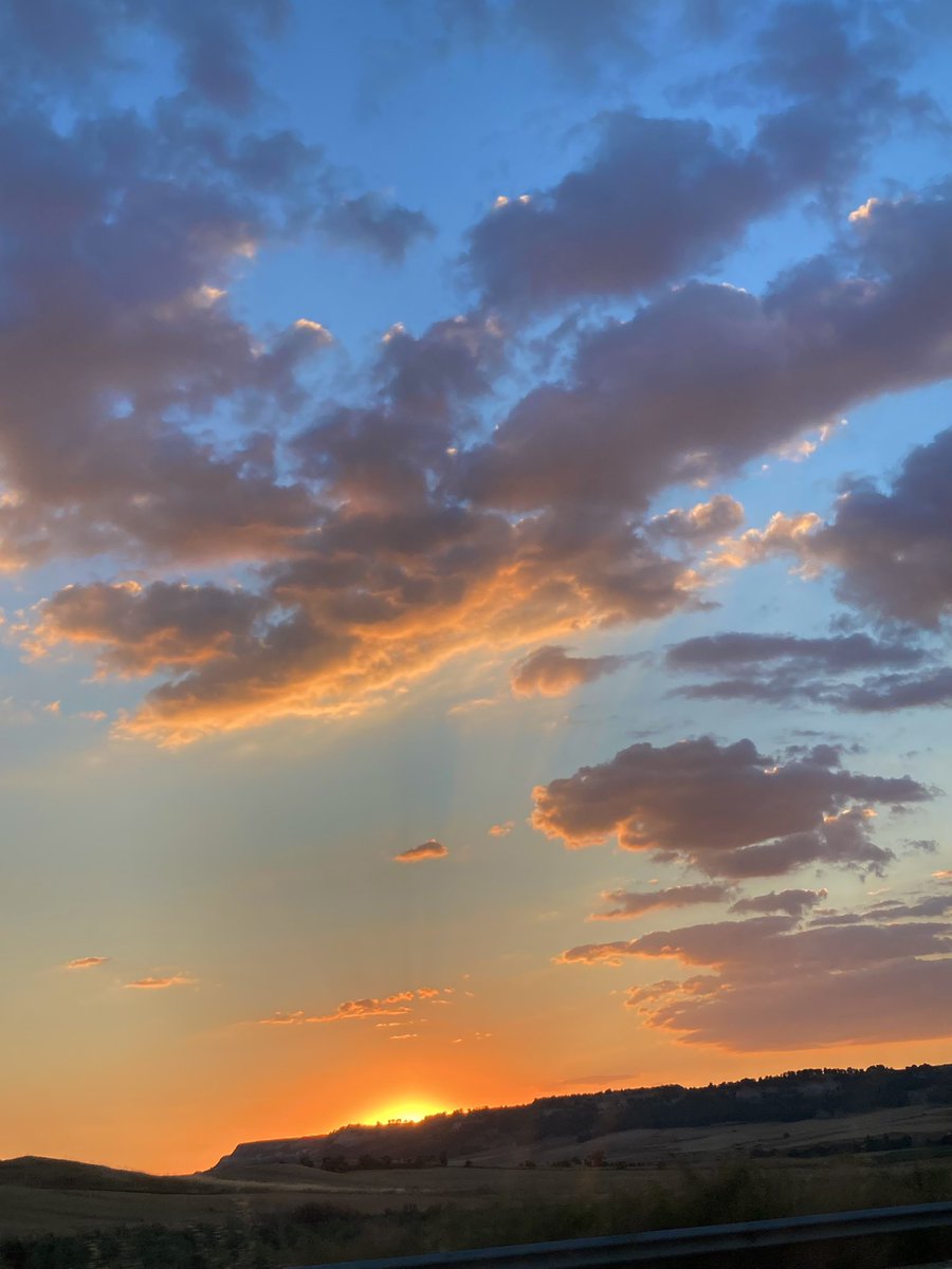 sofiiapozoo's tweet image. 