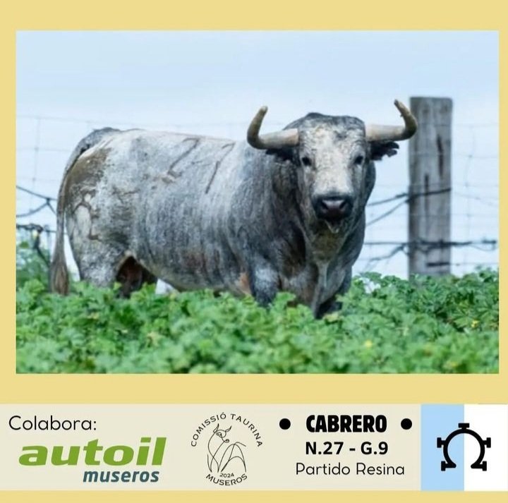 Para los de la lástima de los toros a la calle.

¡Viva las calles!