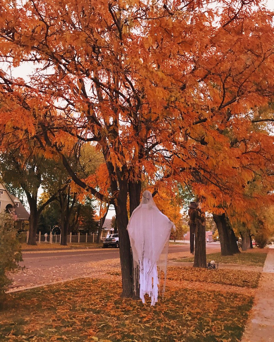 OctobersLeavess's tweet photo. Happy July! 👻🍂 https://t.co/KawQNPHhBo