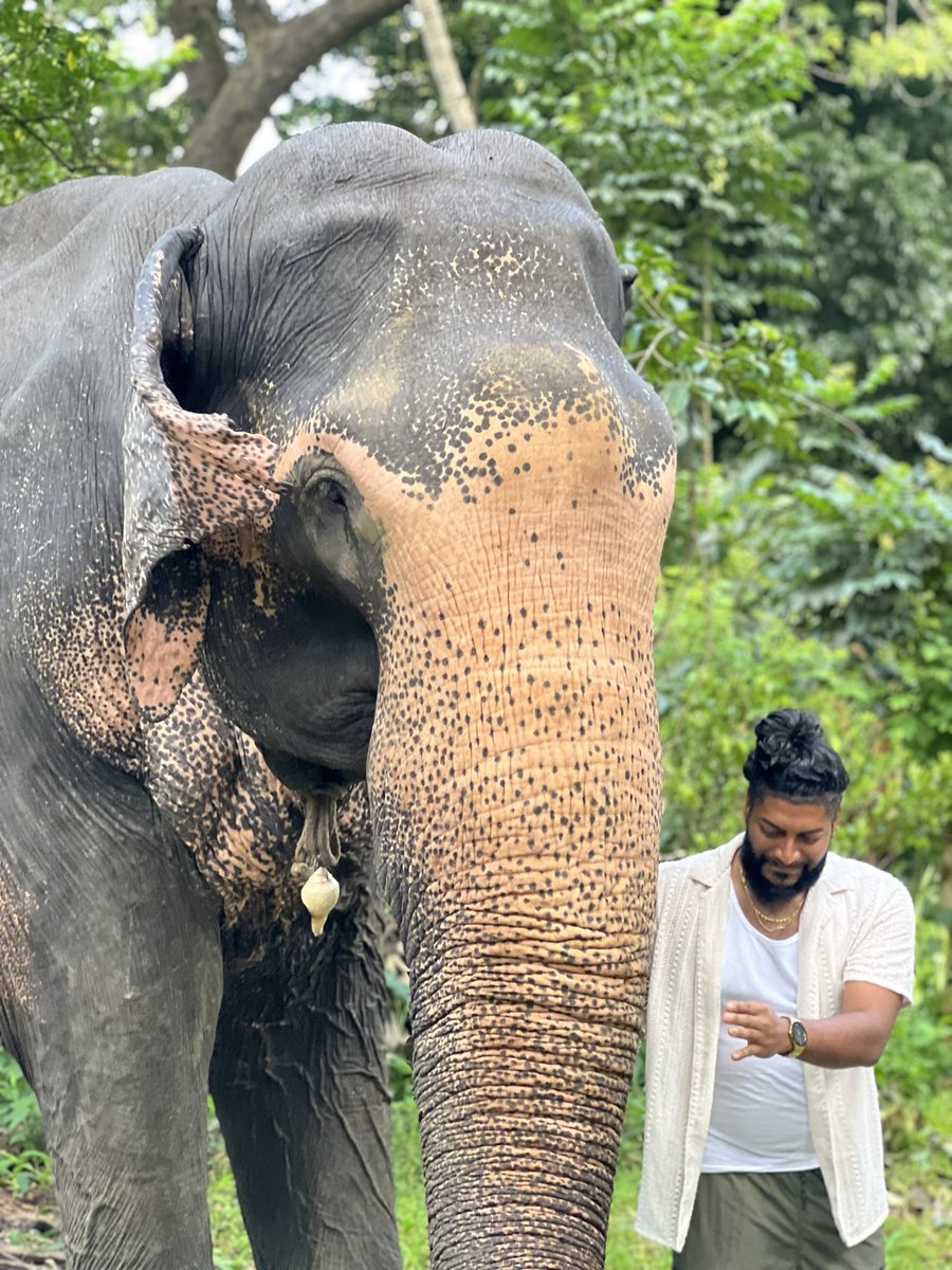 RavenStackz's tweet photo. 🇱🇰 https://t.co/qh6rH2IO9a