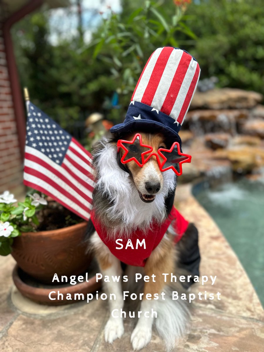 fgpt0822_d's tweet photo. Can’t wait to take Sam for pet therapy visits at Methodist Hospital.  This is the picture that I will handing out to patients and staff. https://t.co/1bCsJmaiua