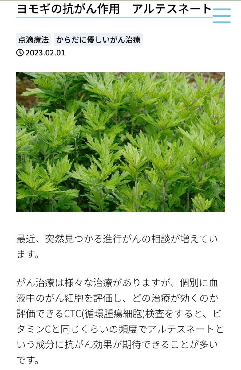 machida19650218's tweet photo. ニガヨモギはわずか16時間で癌細胞の98%を殺します。ヨモギを粉末状に挽き、1日5〜6回食後にティースプーン半さじを服用し、徐々に1日3回に減らして1週間服用します。ヨモギ粉末はヨモギの煎じ薬よりも効果的です https://t.co/idqdT0QhkT