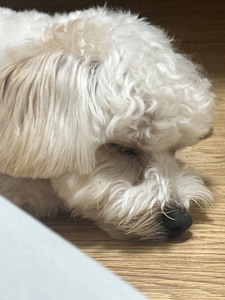 | #fromm_xion 💌 010724 |

#ONEUS #원어스 #XION #시온 #TOMOON #투문