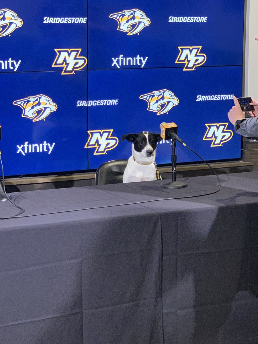 HousecatsNSH's tweet photo. And at 6PM https://t.co/aE2BWDNJFK