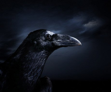 zalffen's tweet photo. Black https://t.co/dtykHlEeny