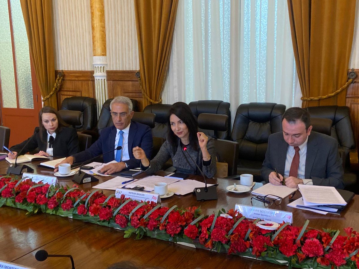 Türkiye in Bolivia tweet media