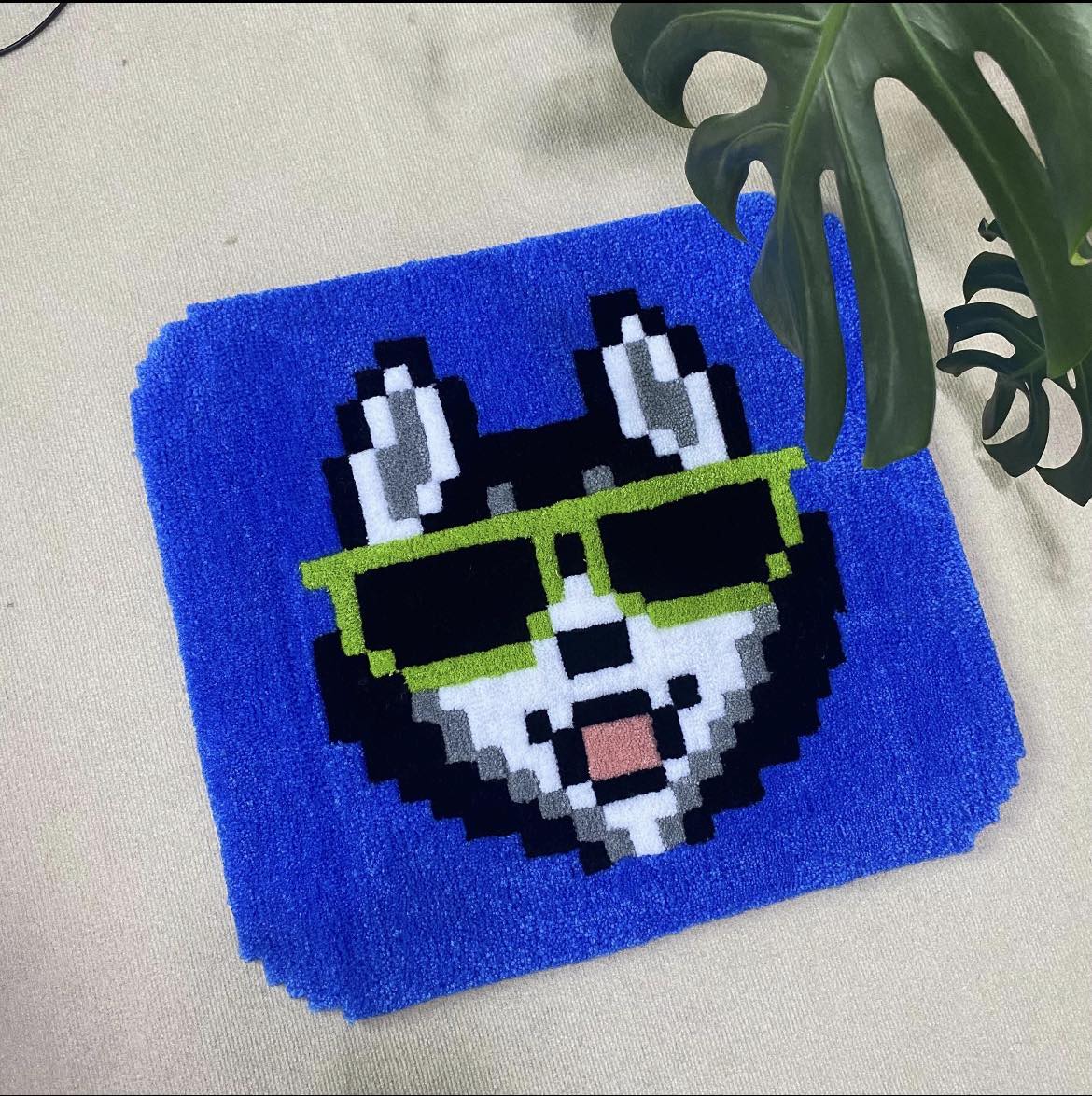 Trym 🧫🧠 tweet media